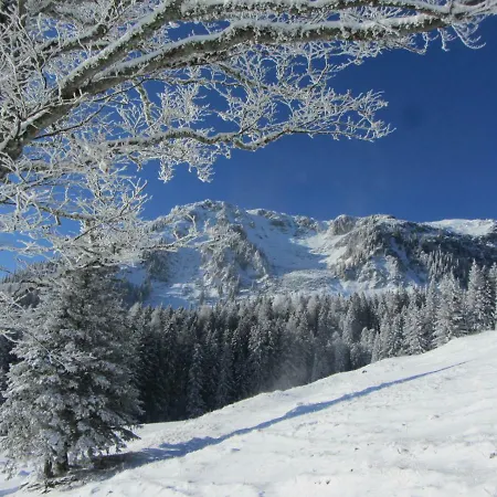 Almgasthaus Seebergalm Penzion *