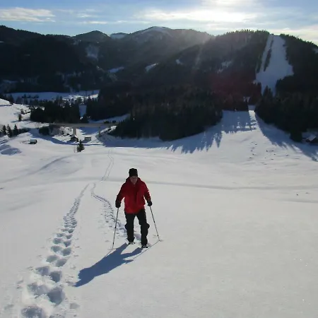Almgasthaus Seebergalm Penzion Turnau