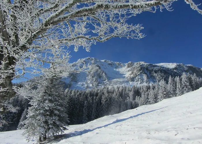 Almgasthaus Seebergalm بيت ريفي *