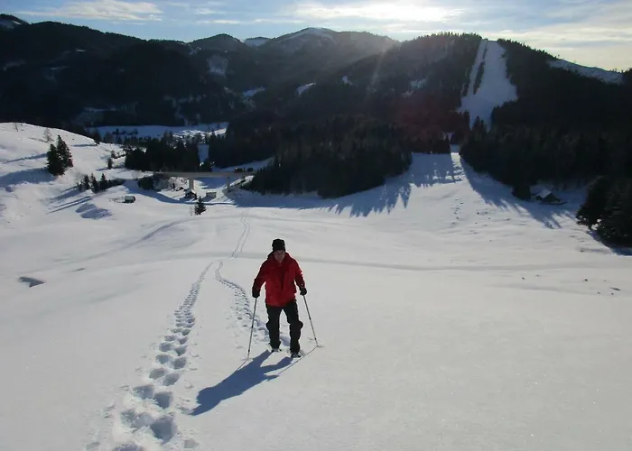 Almgasthaus Seebergalm 宾馆 Turnau