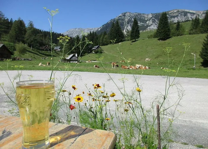 Almgasthaus Seebergalm * Turnau